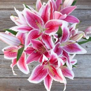 Meet your Posher, Esmeralda